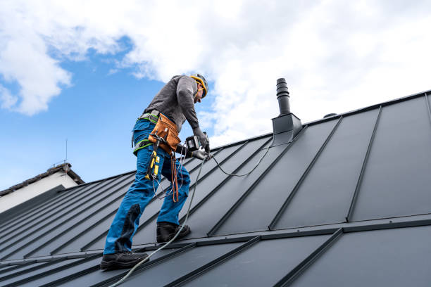 Best Sheet Metal Roofing  in First Mesa, AZ